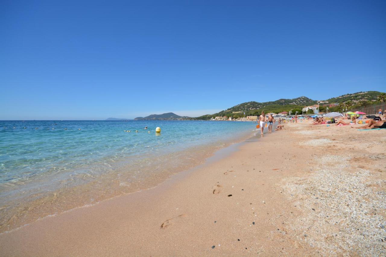 Triplex Le Port D'Hyeres-400M-Clim Wifi Parking By Hc Apartment Exterior foto